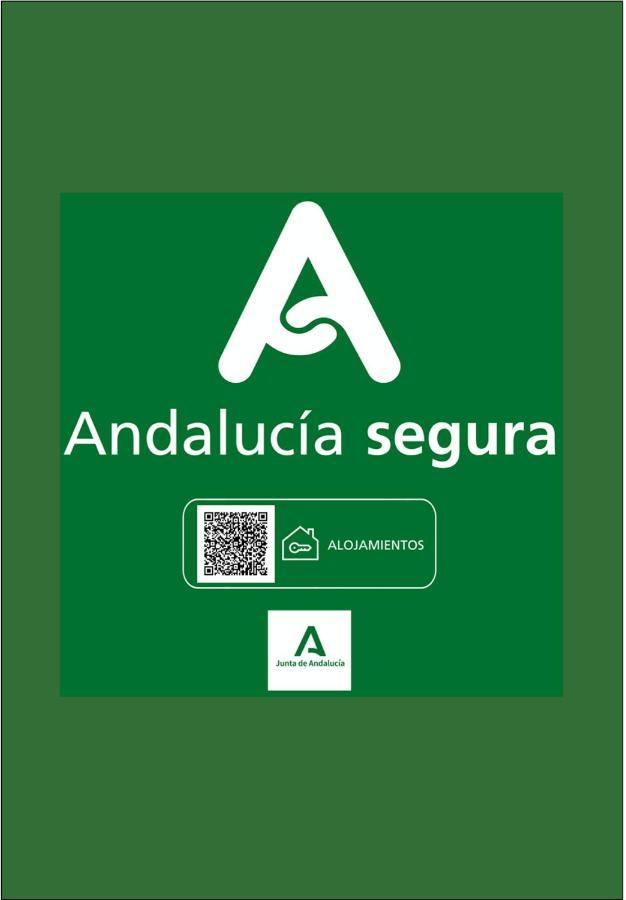 Holidays2Malaga Heredia 3 Bedroom Opposite Malaga Port Buitenkant foto